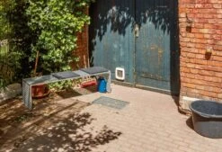 Bank Skwer, Groß -Optimal Einrichtungs Geschäft bank skwer 4