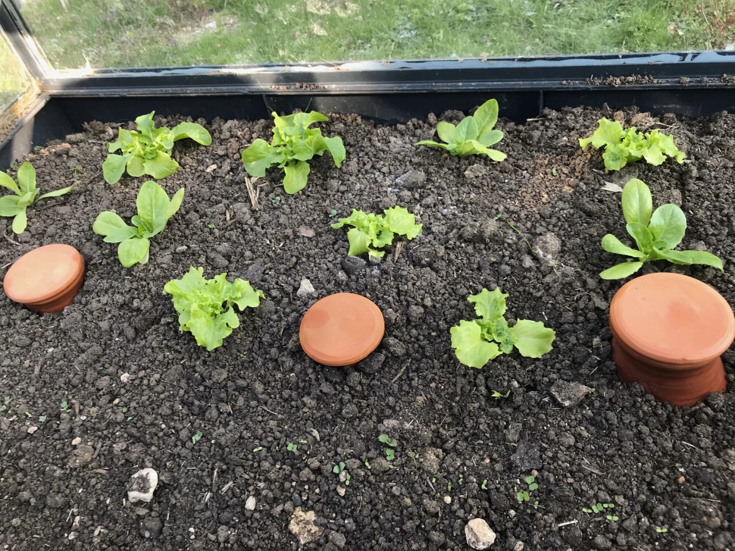 Bewässerungstopf Für Hochbeete 1 Bewässerungstopf Für Hochbeete