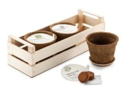 Bio-Aussaatset 'Schmetterlingsgarten'