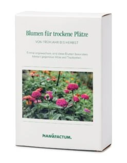 Blumensämereien Für Trockene Heiße Plätze