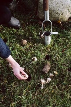 Blumenzwiebelpflanzer Edelstahl -Optimal Einrichtungs Geschäft blumenzwiebelpflanzer edelstahl 4