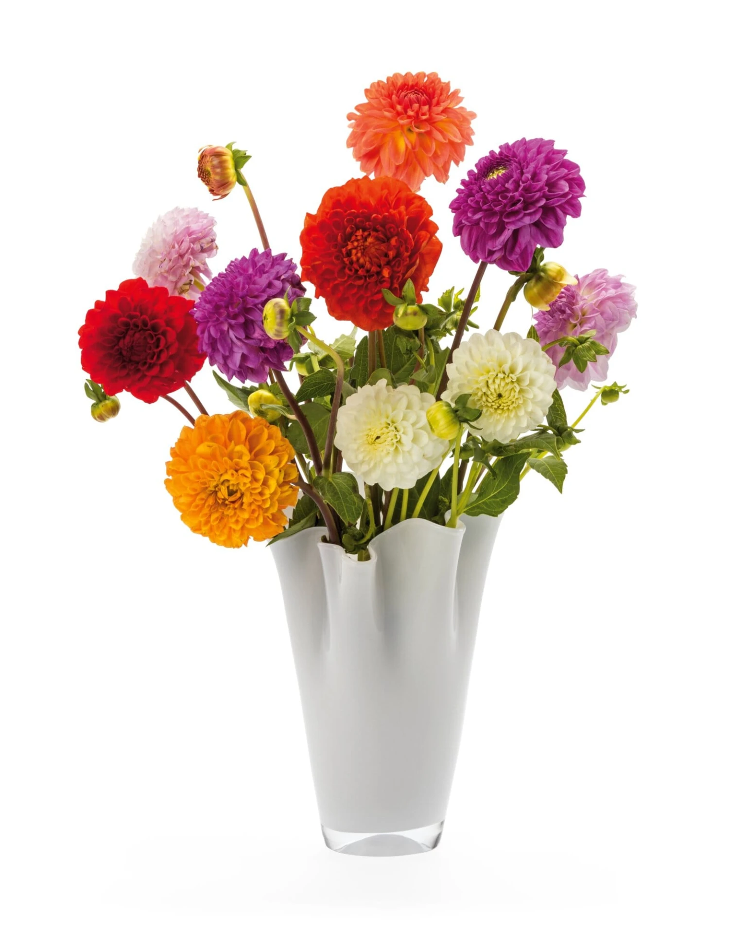 Faltenvase Klein, Weiß 2 Faltenvase Klein, Weiß – Bild 2