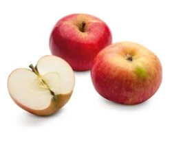 Frühapfel 'Jakob Fischer'