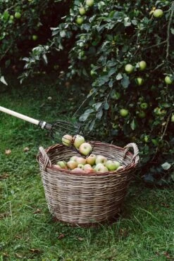 Gartenkorb Robinie Und Weide, Groß -Optimal Einrichtungs Geschäft gartenkorb robinie weide 4