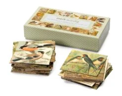 Gedächtnisspiel Vögel