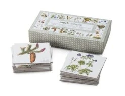 Gedächtnisspiel Wiesenpflanzen