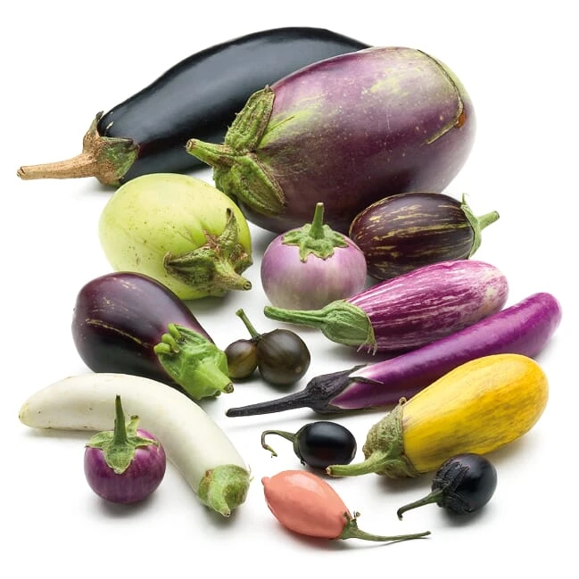 Gemüsesamen 'Balkonfruchtgemüse' 2 Gemüsesamen 'Balkonfruchtgemüse' – Bild 2