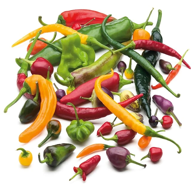 Gemüsesamen 'Balkonfruchtgemüse' 1 Gemüsesamen 'Balkonfruchtgemüse'