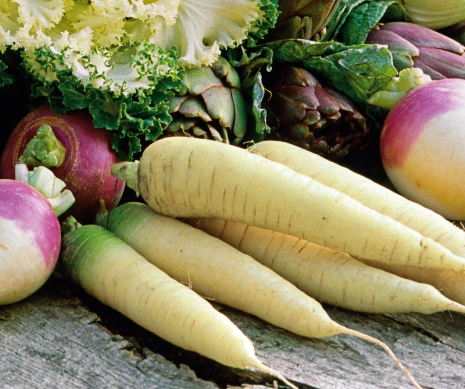 Gemüsesamen 'Gemüsespezialitäten Europäischer Regionen' 2 Gemüsesamen 'Gemüsespezialitäten Europäischer Regionen' – Bild 2