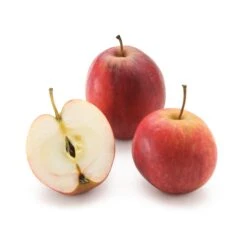 Herbstapfel 'Purpurroter Cousinot', Halbstamm