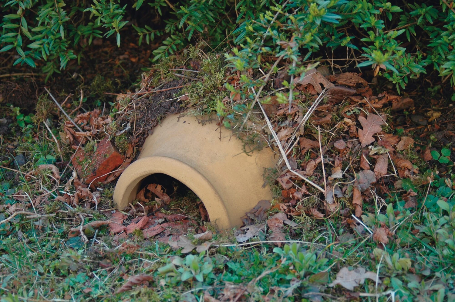 Igelhaus Keramik 2 Igelhaus Keramik – Bild 2