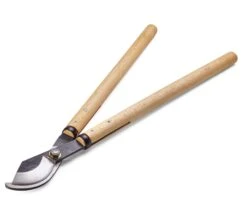 Japanische Astschere