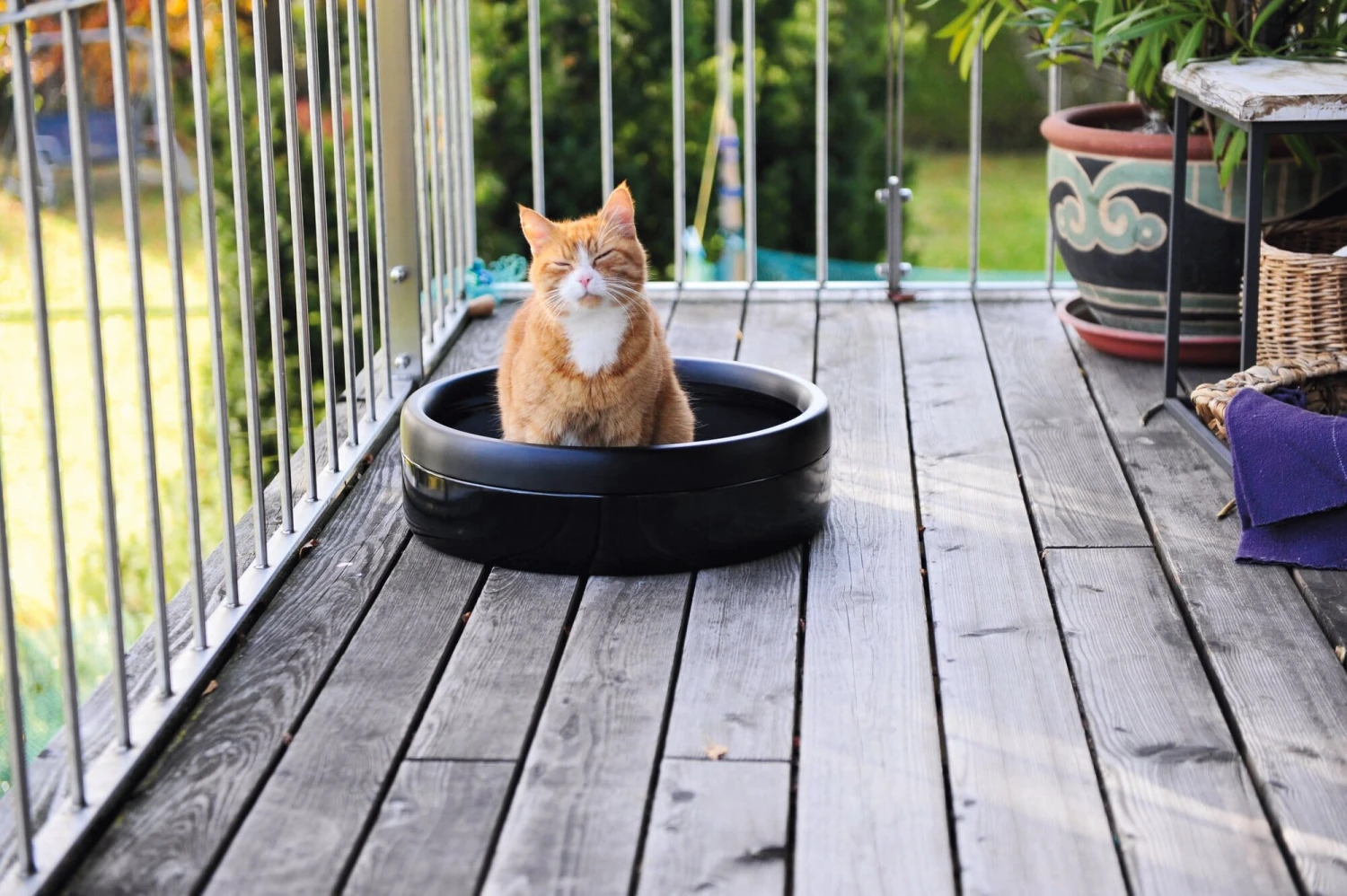 Katzentoilette Emaille, Schwarz 4 Katzentoilette Emaille, Schwarz – Bild 4