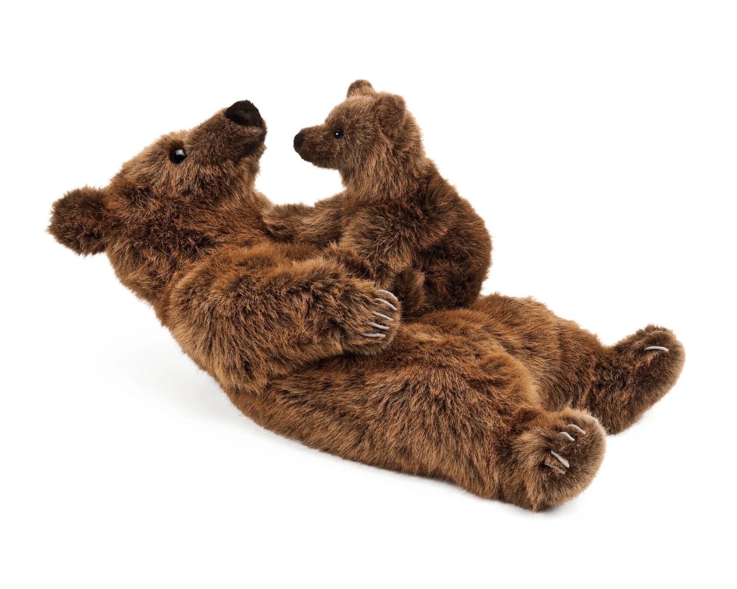 Kösener Braunbär, Groß 4 Kösener Braunbär, Groß – Bild 4