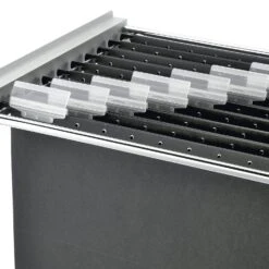 Leitz Hängeregistraturmappe Schwarz, Hängemappe Mit Frosch