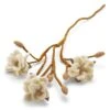 Magnolienzweig Filz, Weiß