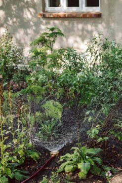 Manufactum Bodenregner Messing Gedreht -Optimal Einrichtungs Geschäft manufactum bodenregner messing gedreht 3