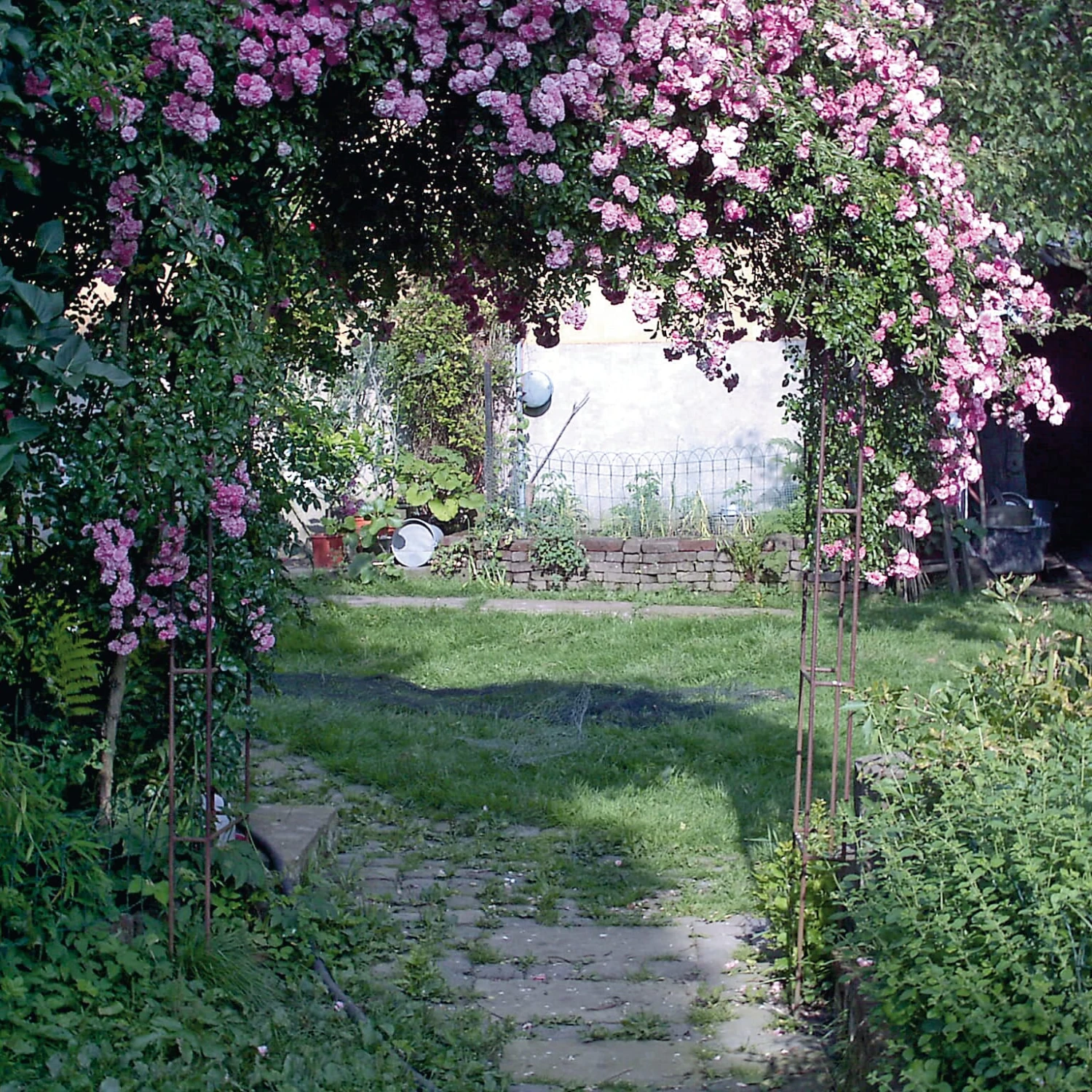 Manufactum Rosenbogen Stahl, Stahl 3 Manufactum Rosenbogen Stahl, Stahl – Bild 3