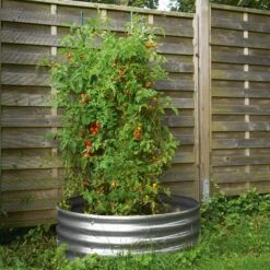 Manufactum Tomatenring Wellblech -Optimal Einrichtungs Geschäft manufactum tomatenring wellblech 3