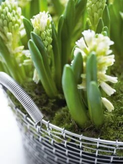 Metallkorb Korbo -Optimal Einrichtungs Geschäft metallkorb korbo 3