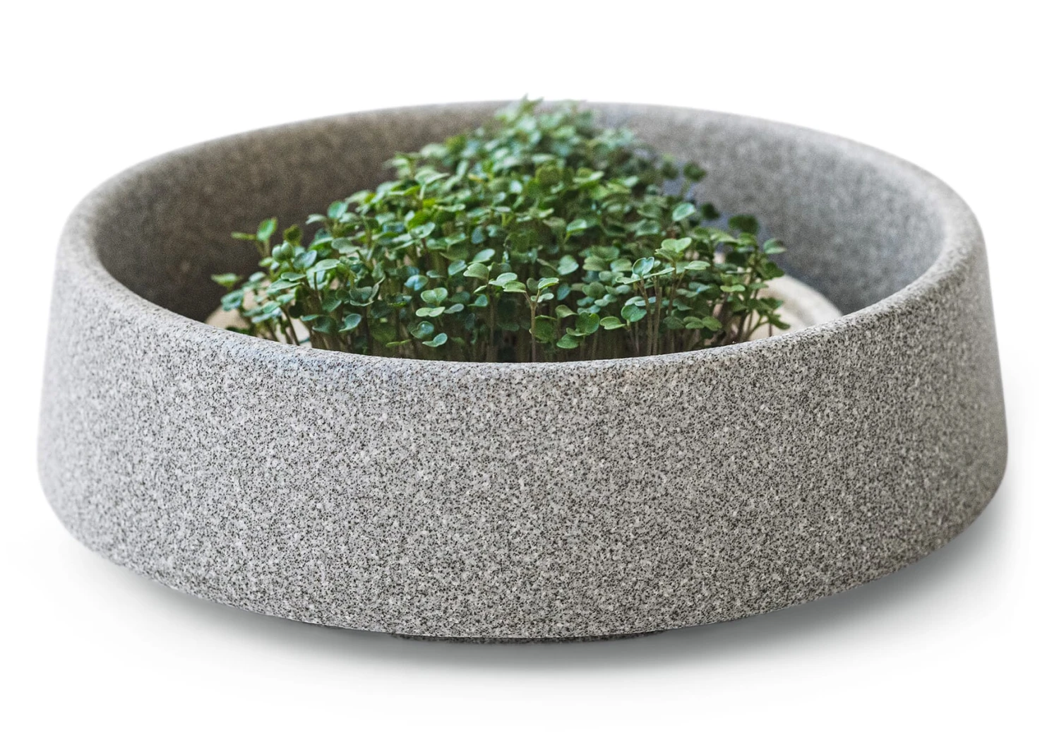 Mikrogarten Zur Sprossenanzucht 1 Mikrogarten Zur Sprossenanzucht