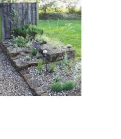 Muschelmulch -Optimal Einrichtungs Geschäft muschelmulch 2