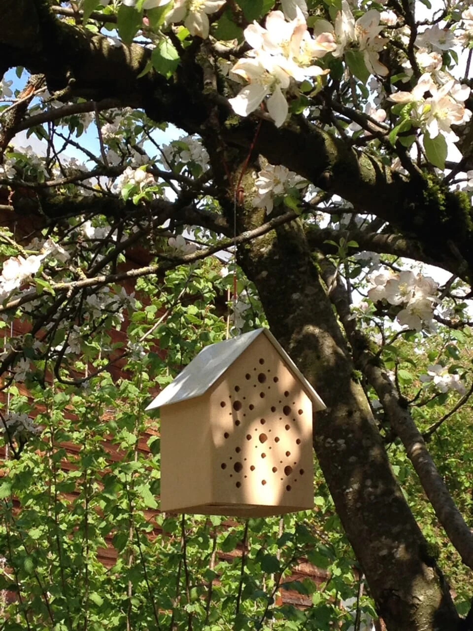 Nisthilfe Bienenhotel Bee's Inn 2 Nisthilfe Bienenhotel Bee's Inn – Bild 2