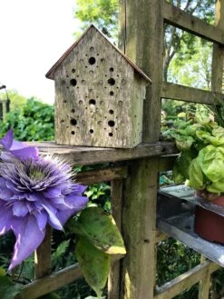 Nisthilfe Bienenhotel Bee's Inn 7 Nisthilfe Bienenhotel Bee's Inn -Optimal Einrichtungs Geschäft nisthilfe bienenhotel bees inn 2