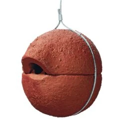 Nistkugel Zaunkönig