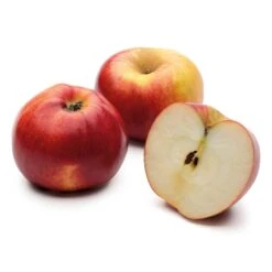 Obstgehölz Winterapfel 'Winterrambur', Halbstamm