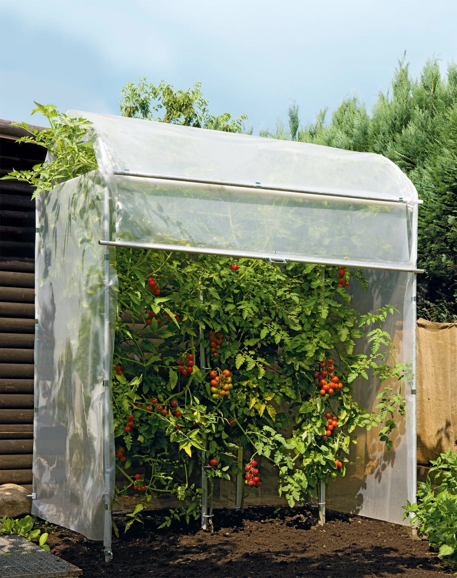 Rollo Tomatenhaus 2 Rollo Tomatenhaus – Bild 2