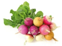 Saatgut 'Gemüse Und Blumen Für Kinder' -Optimal Einrichtungs Geschäft saatgut gemuese blumen kinder 3