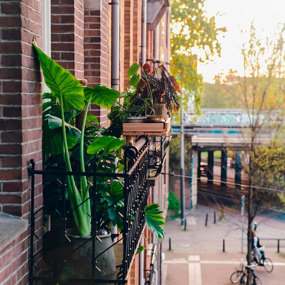 Seitenteile Für Balkonablage Bambus 5 Seitenteile Für Balkonablage Bambus – Bild 5