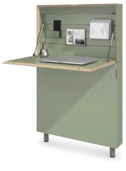 Sekretär Flatmate, Oliv 7 Sekretär Flatmate, Oliv -Optimal Einrichtungs Geschäft sekretaer flatmate 7