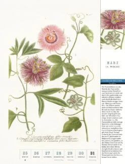 Thorbecke Blumenkalender 2024 -Optimal Einrichtungs Geschäft thorbecke blumenkalender 2024 2