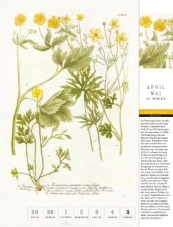 Thorbecke Blumenkalender 2024 -Optimal Einrichtungs Geschäft thorbecke blumenkalender 2024 4