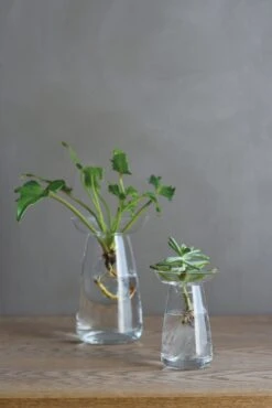 Kinto Vase Aqua, Klein, Farblos -Optimal Einrichtungs Geschäft vase aqua klein 2