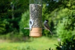 Vogelfuttersäule Glas 7 Vogelfuttersäule Glas -Optimal Einrichtungs Geschäft vogelfuttersaeule glas 3