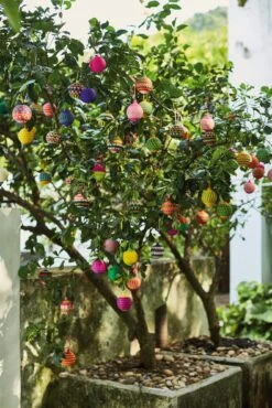 Weihnachtskugel Jipi, Klein -Optimal Einrichtungs Geschäft weihnachtskugel jipi 2