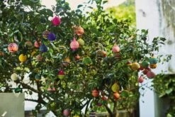 Weihnachtskugel Jipi, Klein -Optimal Einrichtungs Geschäft weihnachtskugel jipi 3